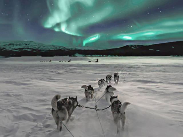 유콘 스노모빌오로라 익스클루시브: 스페셜에디션