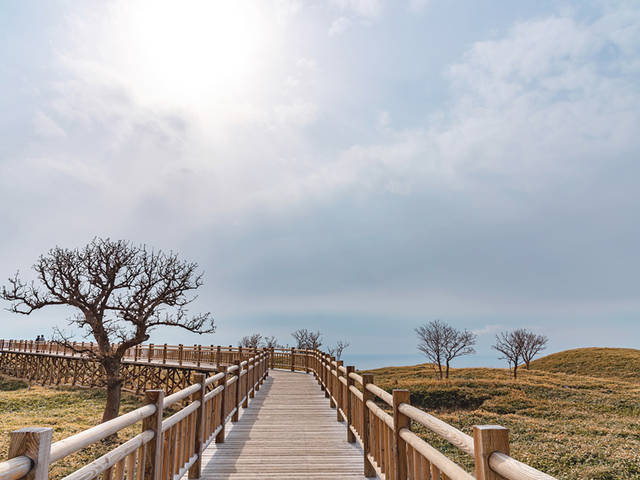 [전일 렌터카] 쿠시로, 시레토코 자유여행