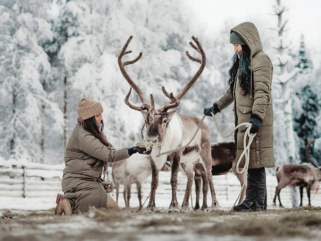 트롬쇠 오로라와 산타마을 아틱트리하우스